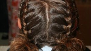 Double French Braids | Hairstyle Ideas