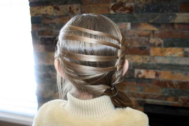 Back view of the Layered Ponytail