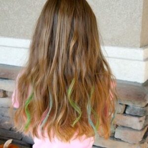 Back view of the No-Dye Hairstyles | Chalk Highlights
