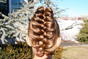 Back view of the Braid Hairstyles | The Cage Braid