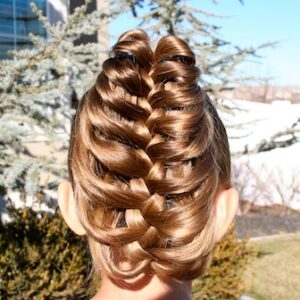 Back view of the Braid Hairstyles | The Cage Braid