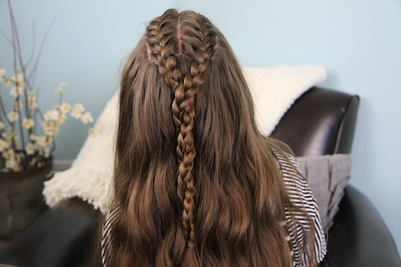 Double French Braid and Twist | Braid Hairstyles - Cute Girls Hairstyles