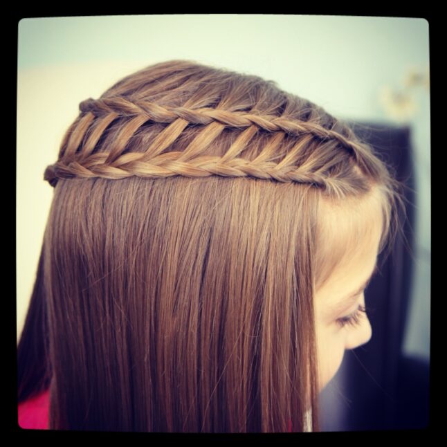 Top view of Ladder Braid Combo | Cute Hairstyles