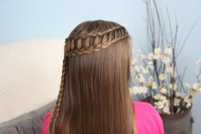 Back view of Ladder Braid Combo | Cute Hairstyles