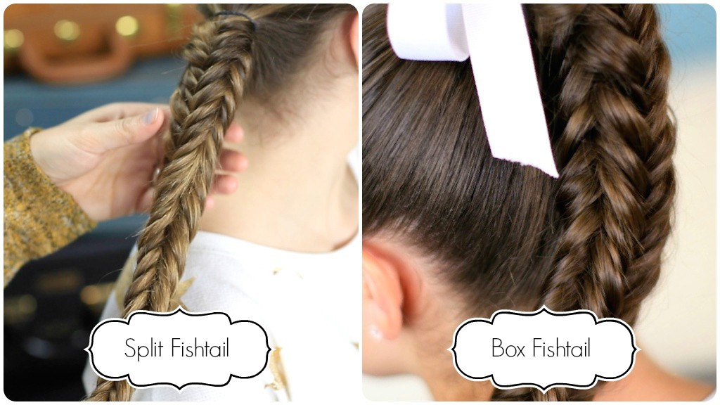 Split Fishtail vs Box Fishtail