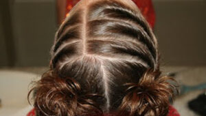 Top view of the Triple Twists into Twisty Buns